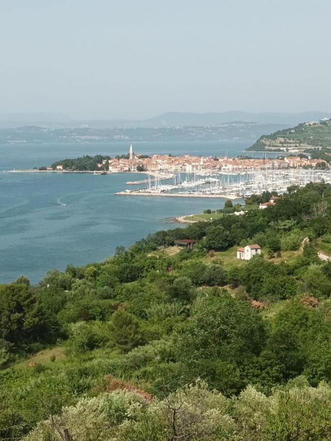 Casa Furlan Διαμέρισμα Izola Εξωτερικό φωτογραφία